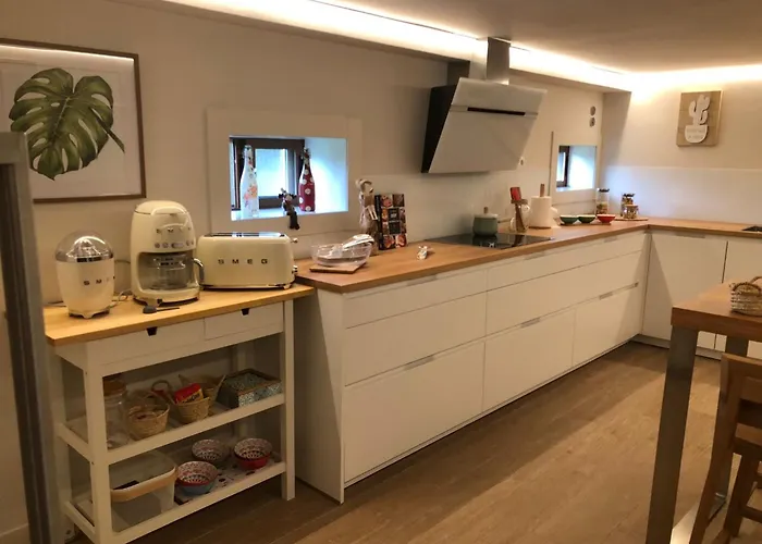 Elvira 폰테베드라